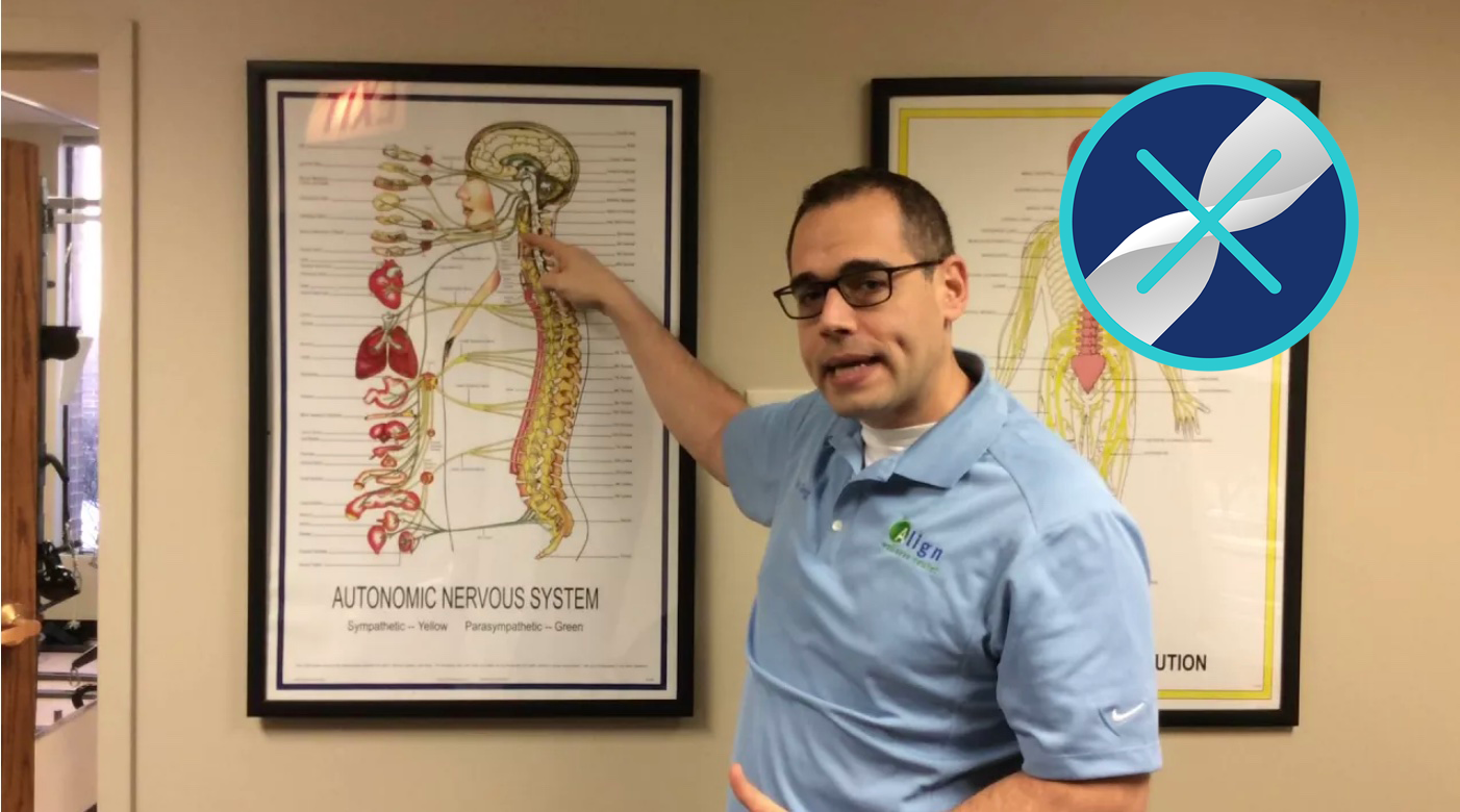 Boosting Your Immune System with Chiropractic Care | Northbrook ...